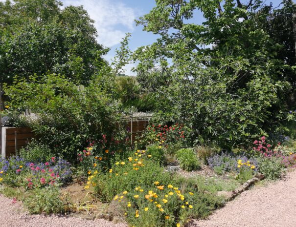 Gîte Côté Jardin Vue du massif - Bastide Domange - Igé 71